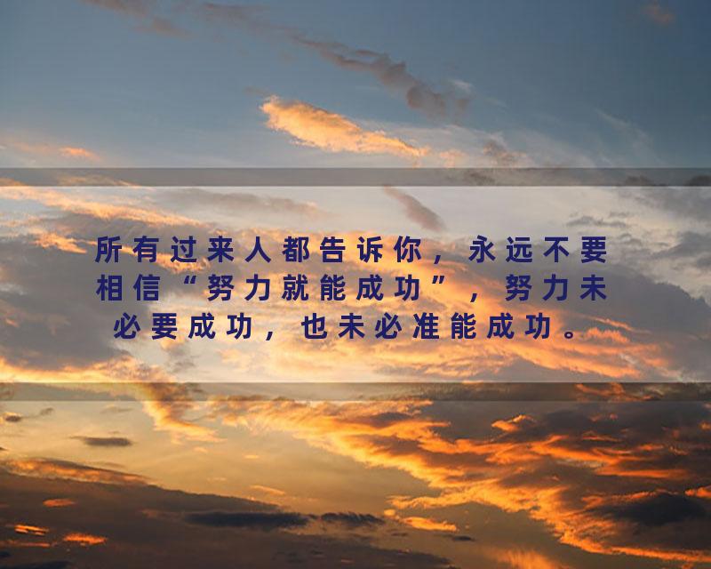 所有过来人都告诉你，永远不要相信“努力就能成功”，努力未必要成功，也未必准能成功。