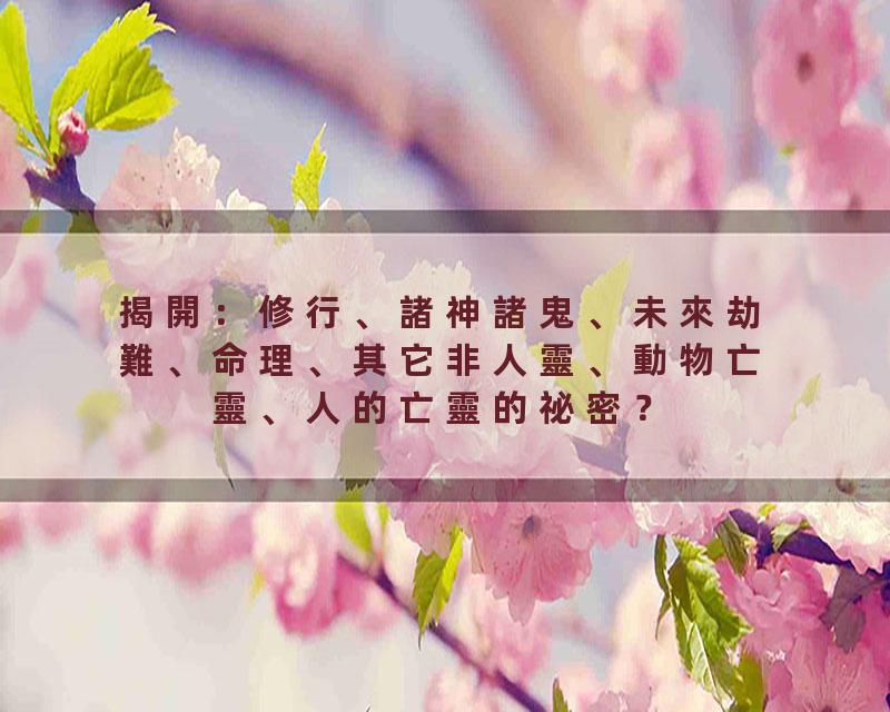 揭開：修行、諸神諸鬼、未來劫難、命理、其它非人靈、動物亡靈、人的亡靈的祕密？