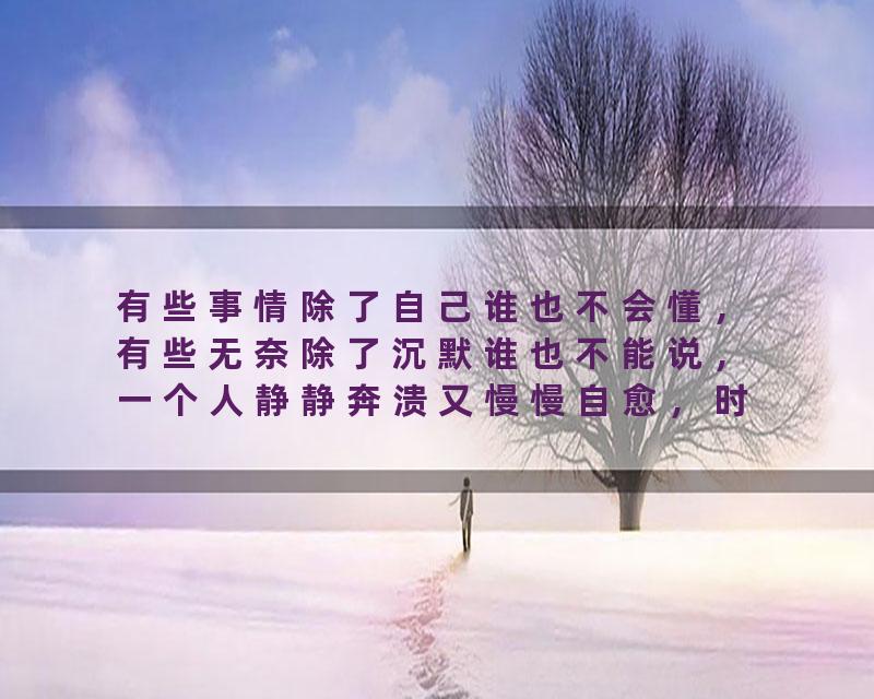 有些事情除了自己谁也不会懂，有些无奈除了沉默谁也不能说，一个人静静奔溃又慢慢自愈，时间到了一切都会过去智慧…