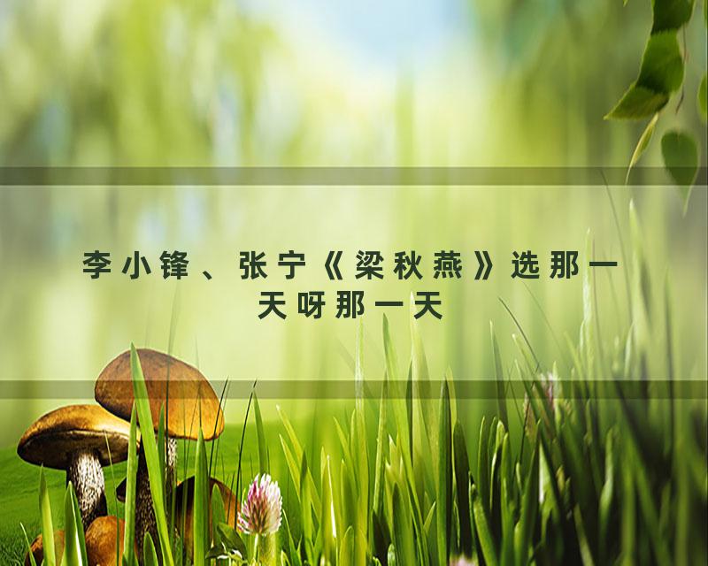 李小锋、张宁《梁秋燕》选那一天呀那一天
