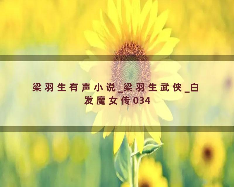 梁羽生有声小说_梁羽生武侠_白发魔女传034