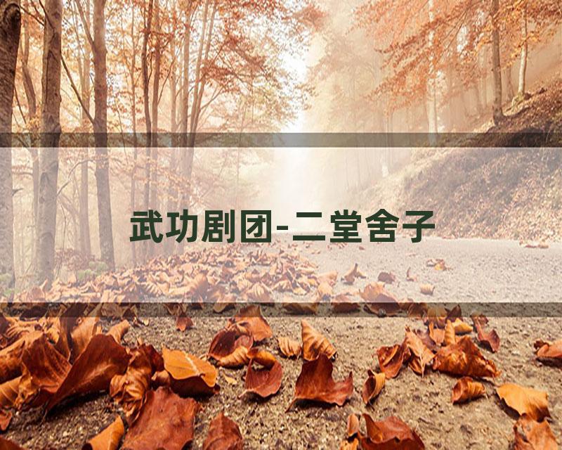 武功剧团-二堂舍子