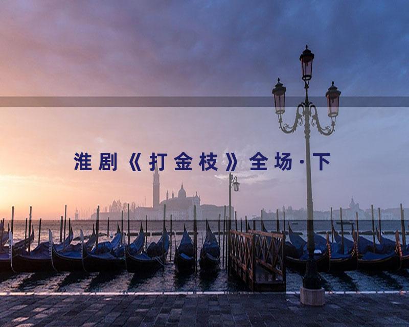 淮剧《打金枝》全场·下