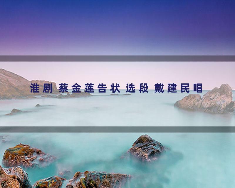 淮剧 蔡金莲告状 选段 戴建民唱