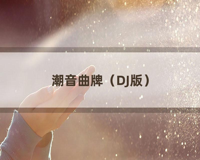 潮音曲牌（DJ版）