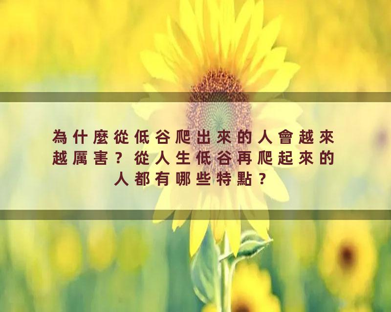 為什麼從低谷爬出來的人會越來越厲害？從人生低谷再爬起來的人都有哪些特點？