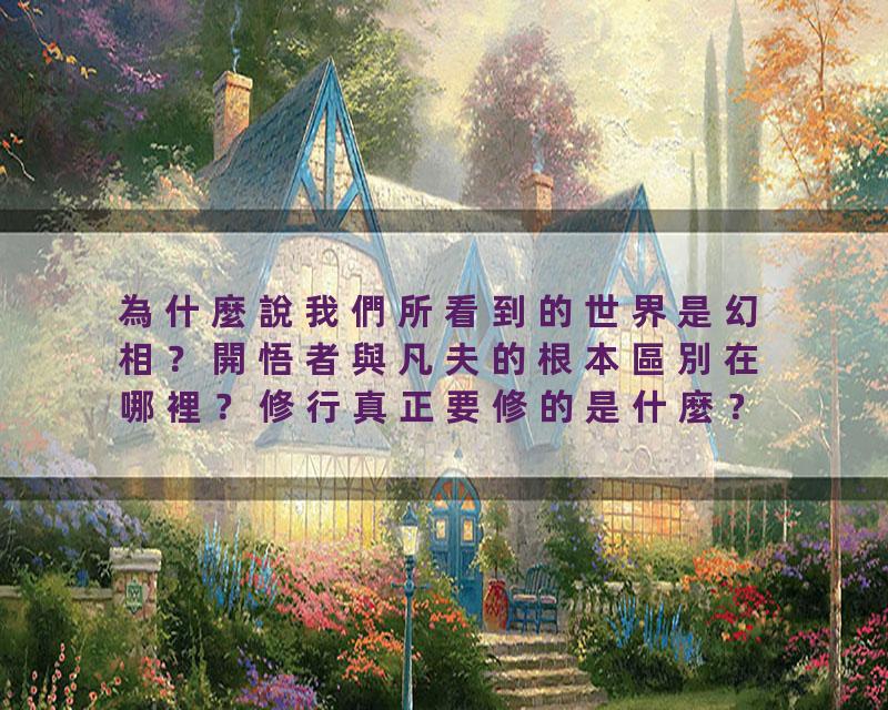 為什麼說我們所看到的世界是幻相？開悟者與凡夫的根本區別在哪裡？修行真正要修的是什麼？如何去妄存真？
