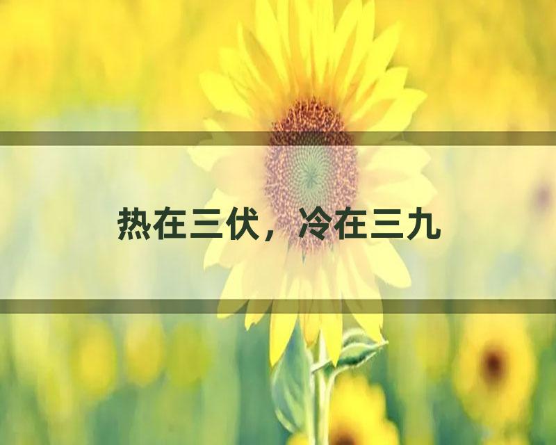 热在三伏，冷在三九