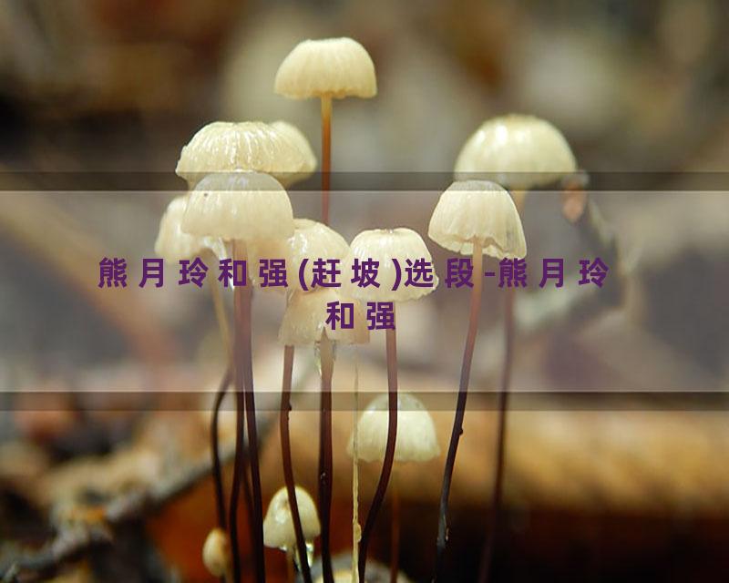 熊月玲和强(赶坡)选段-熊月玲  和强