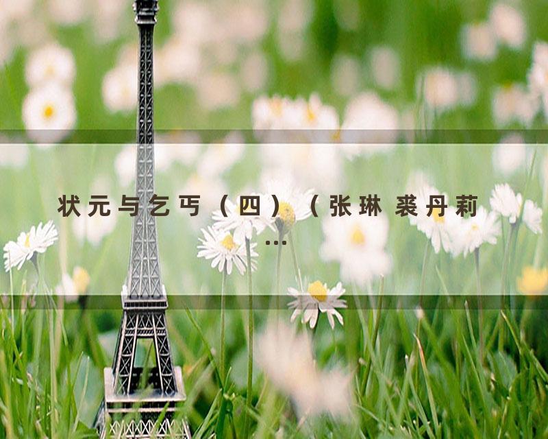 状元与乞丐（四）（张琳 裘丹莉 ...