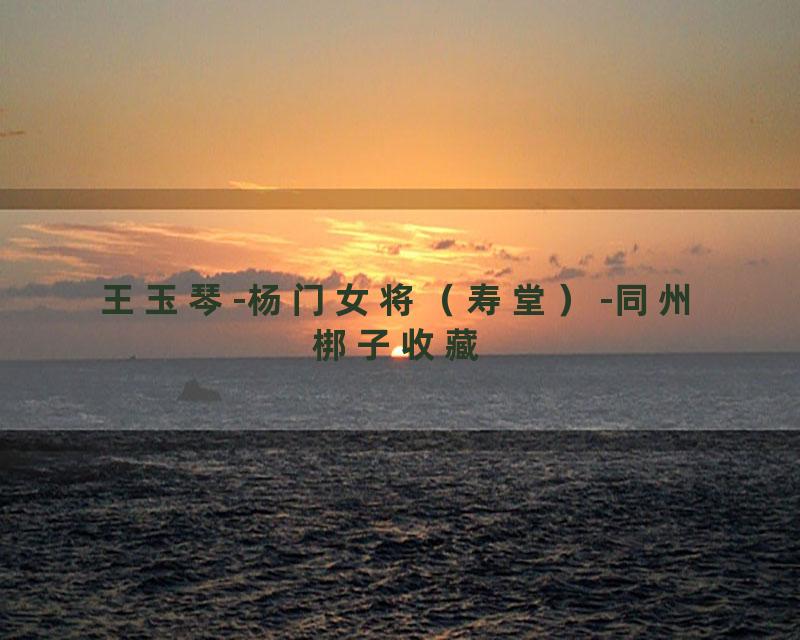 王玉琴-杨门女将（寿堂）-同州梆子收藏