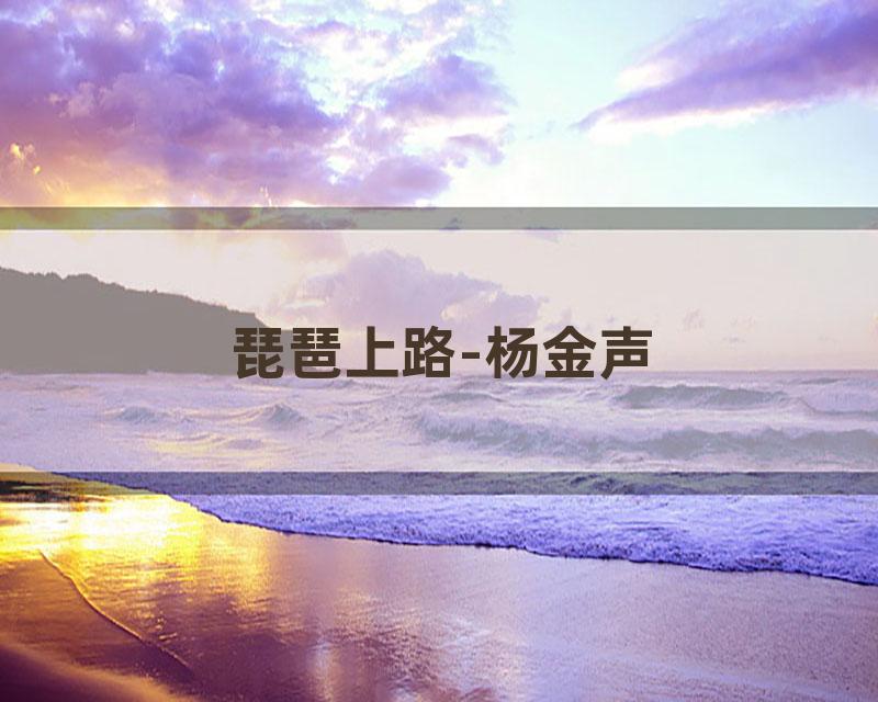 琵琶上路-杨金声