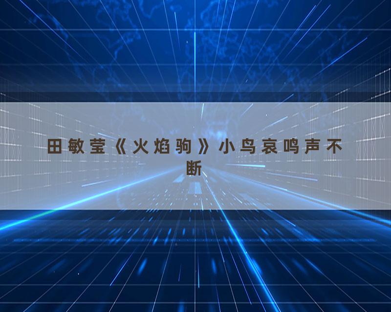 田敏莹《火焰驹》小鸟哀鸣声不断