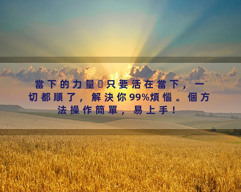 當下的力量只要活在當下，一切都順了，解決你99%煩惱。個方法操作簡單，易上手！