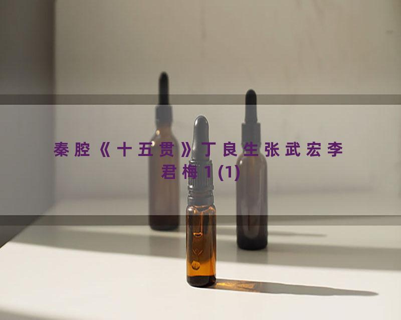 秦腔《十五贯》丁良生张武宏李君梅1 (1)