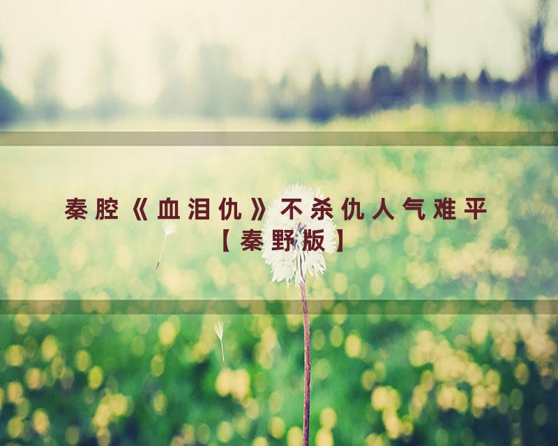 秦腔《血泪仇》不杀仇人气难平【秦野版】