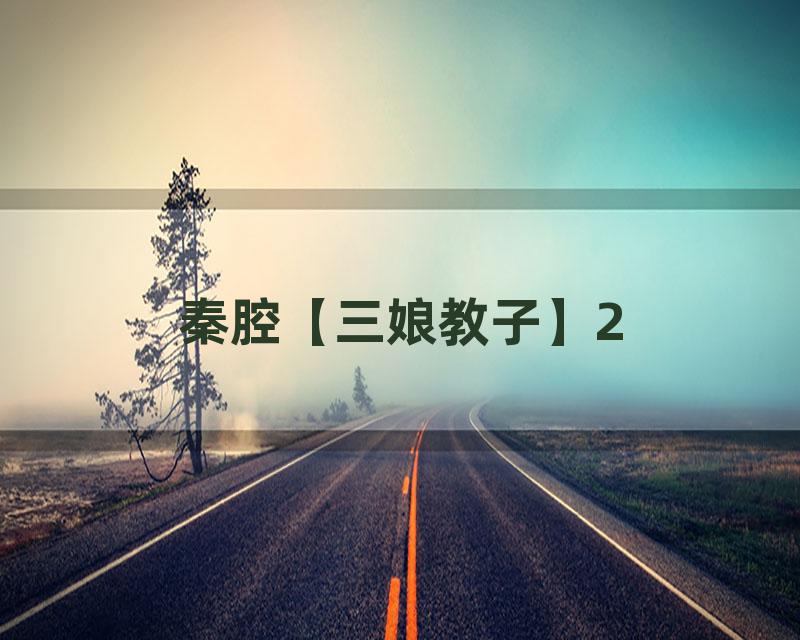 秦腔【三娘教子】2