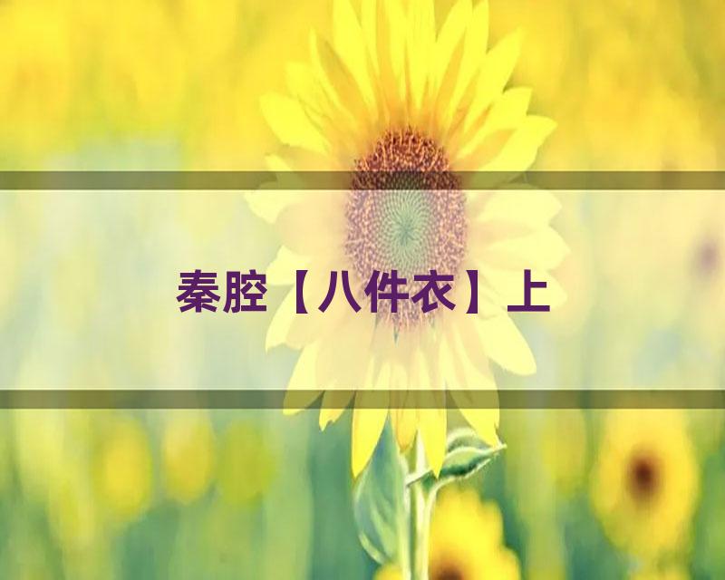 秦腔【八件衣】上