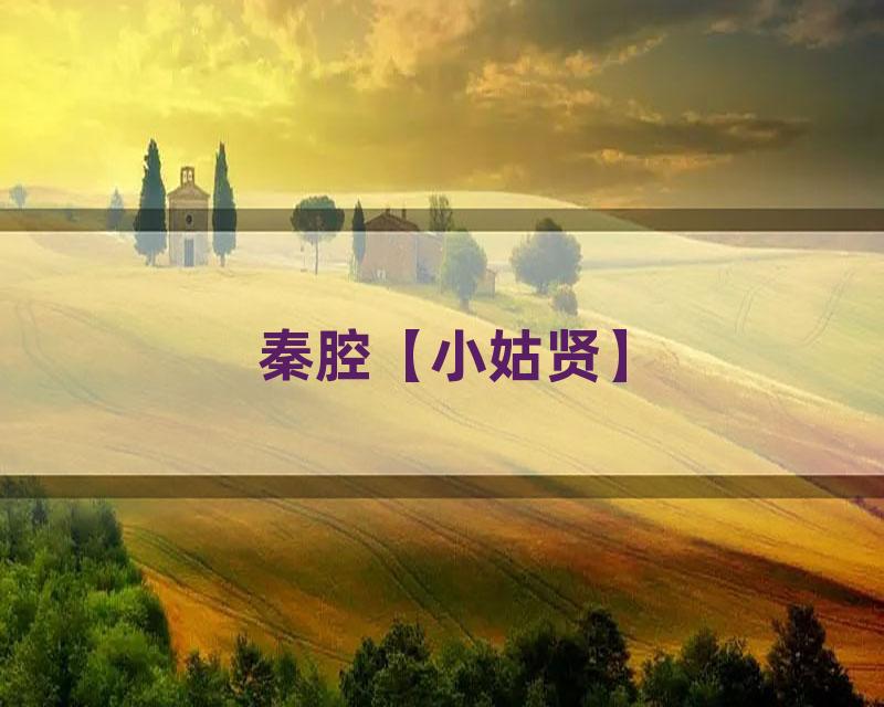 秦腔【小姑贤】