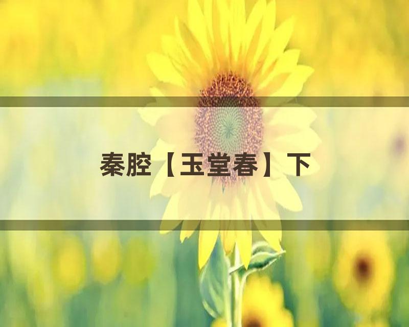 秦腔【玉堂春】下