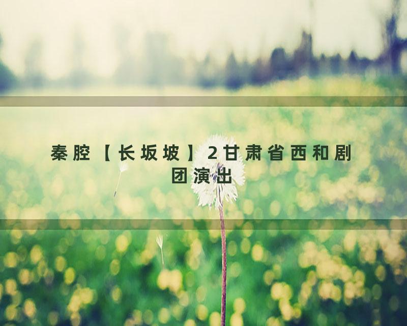 秦腔【长坂坡】2 甘肃省西和剧团演出