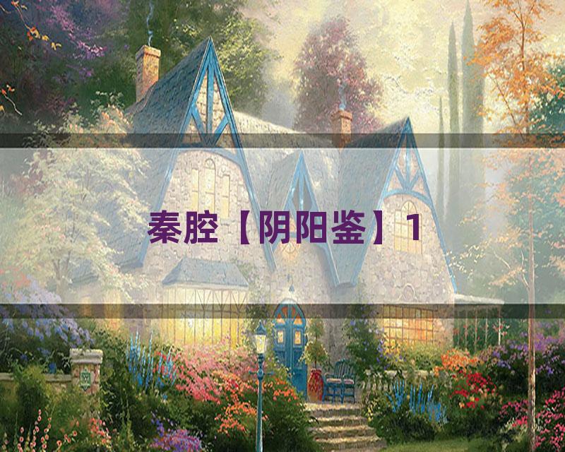 秦腔【阴阳鉴】1