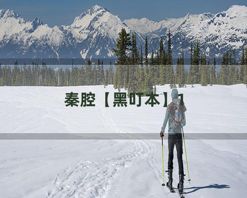 秦腔【黑叮本】1