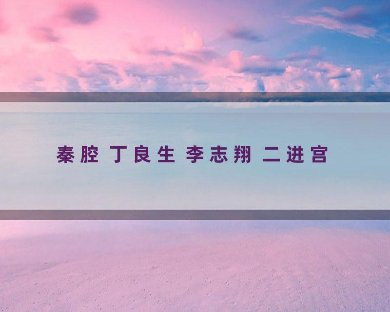 秦腔 丁良生 李志翔 二进宫