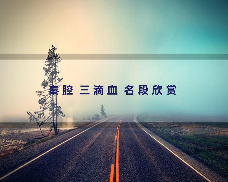 秦腔 三滴血 名段欣赏