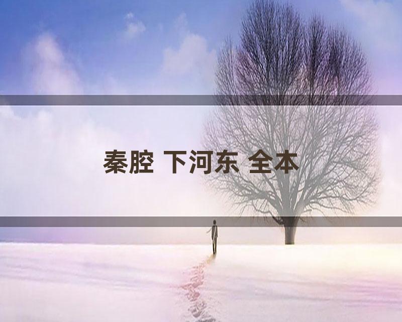 秦腔 下河东 全本