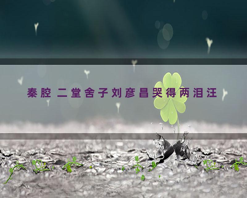 秦腔 二堂舍子刘彦昌哭得两泪汪