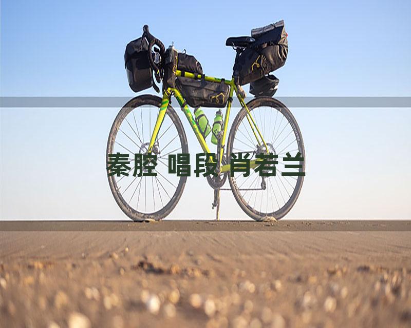 秦腔 唱段 肖若兰