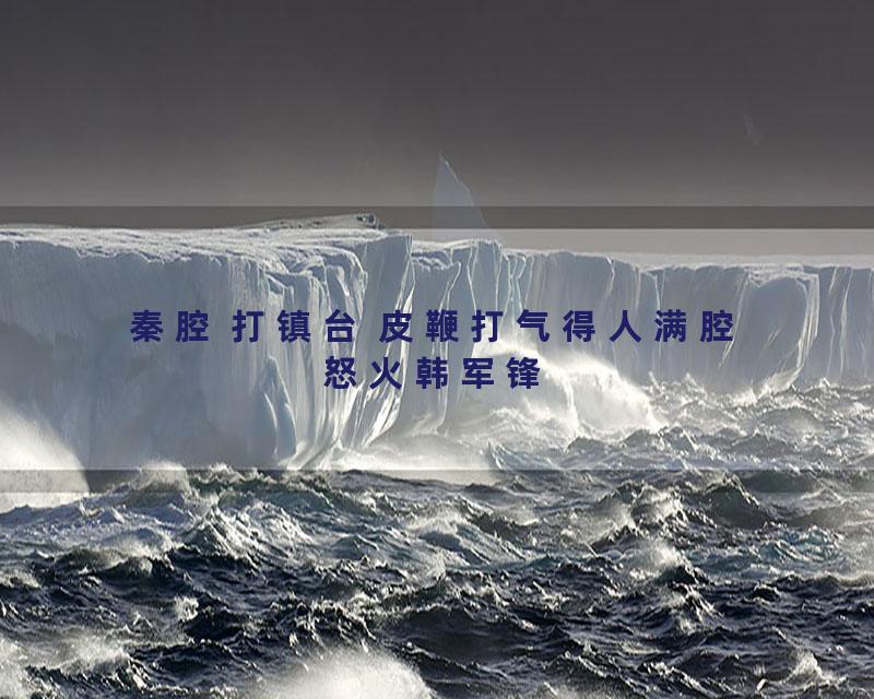 秦腔 打镇台 皮鞭打气得人满腔怒火韩军锋