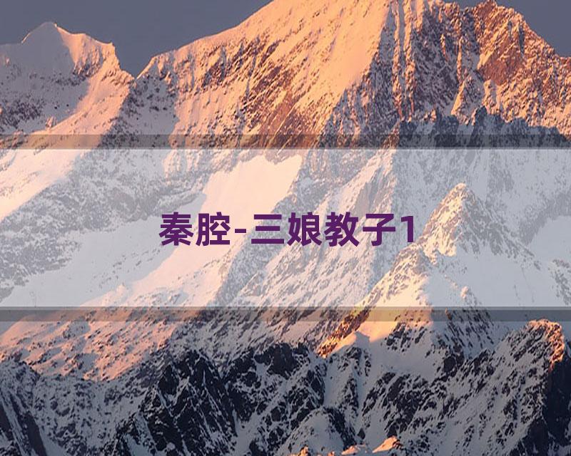 秦腔-三娘教子1