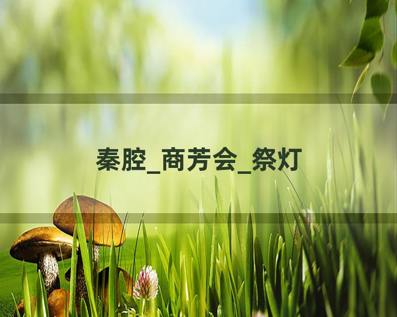 秦腔_商芳会_祭灯