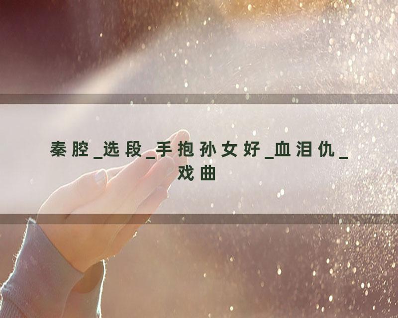 秦腔_选段_手抱孙女好_血泪仇_戏曲