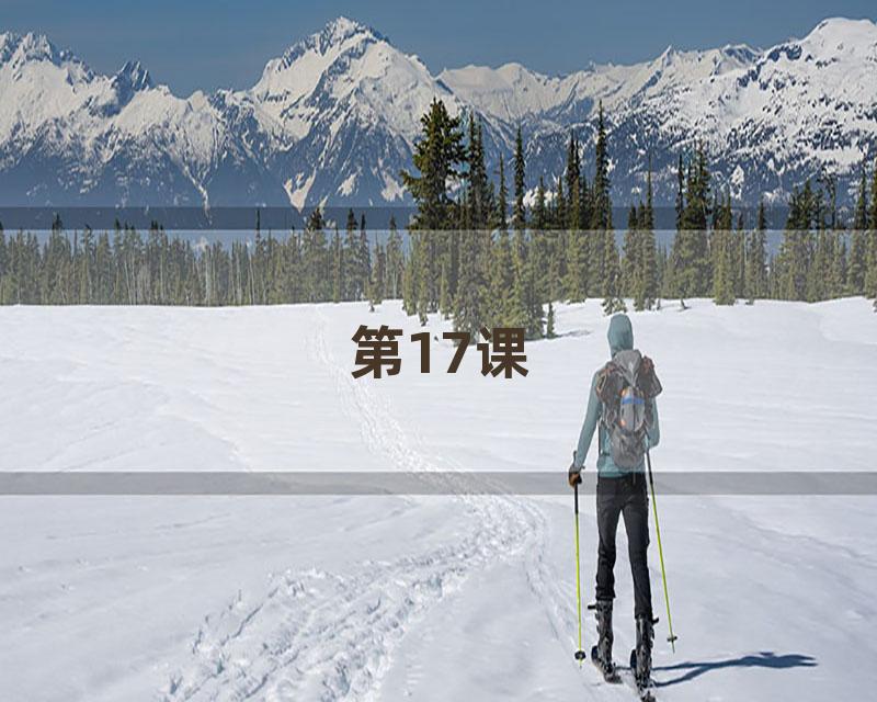 第17课