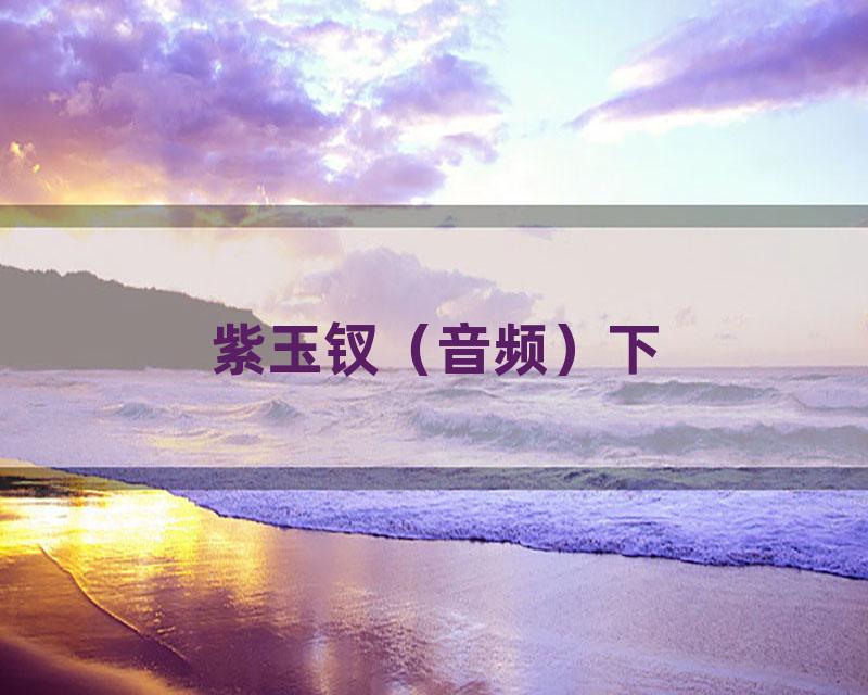 紫玉钗（音频）下