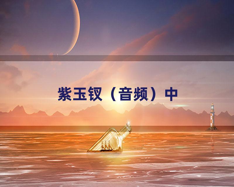 紫玉钗（音频）中