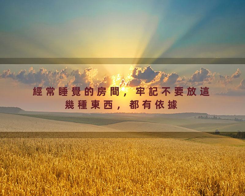 經常睡覺的房間，牢記不要放這幾種東西，都有依據【國學文化優選】#人生#國學#生活