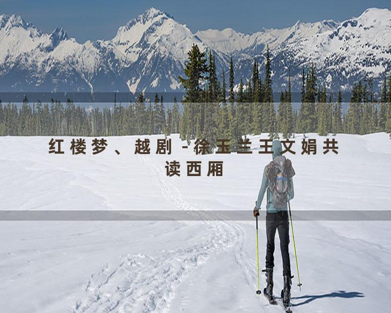 红楼梦、越剧 - 徐玉兰王文娟共读西厢