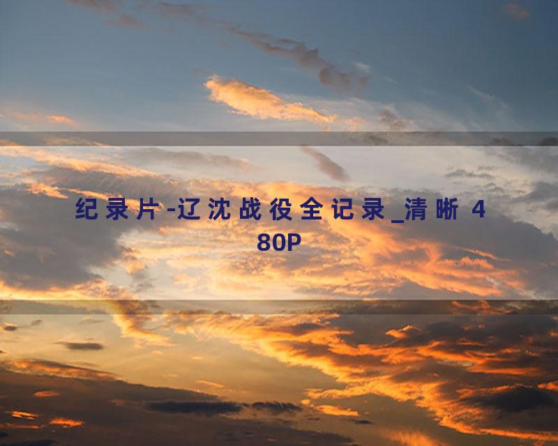 纪录片-辽沈战役全记录_清晰 480P