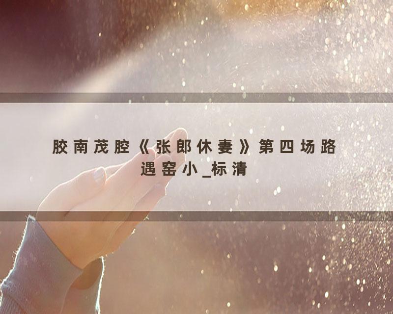 胶南茂腔《张郎休妻》第四场路遇窑小_标清