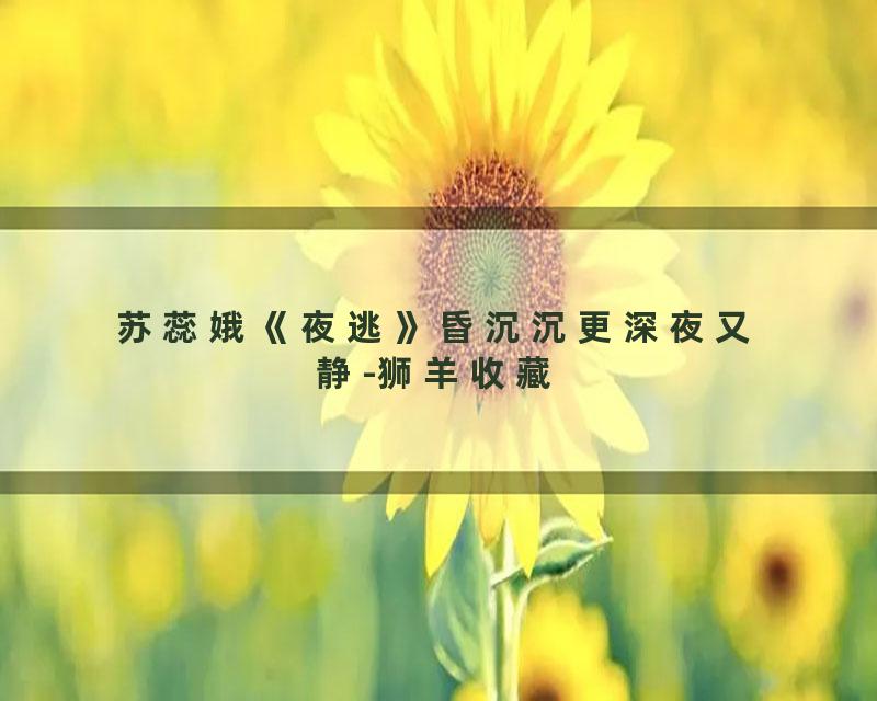 苏蕊娥《夜逃》昏沉沉更深夜又静-狮羊收藏