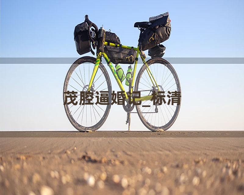 茂腔逼婚记_标清