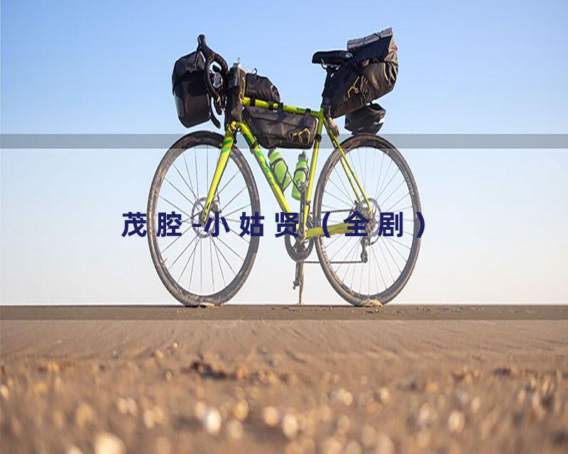 茂腔-小姑贤（全剧）