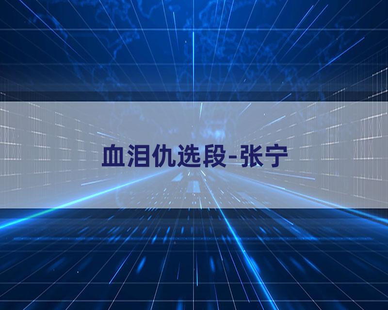 血泪仇选段-张宁