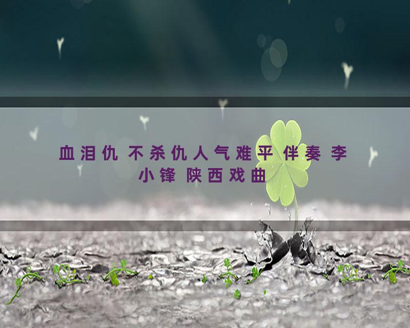 血泪仇 不杀仇人气难平 伴奏 李小锋 陕西戏曲