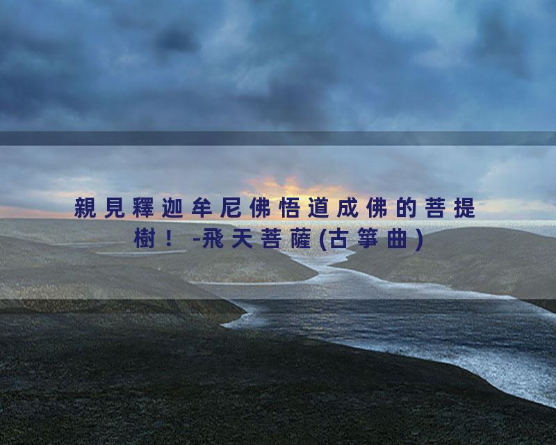 親見釋迦牟尼佛悟道成佛的菩提樹！-飛天菩薩(古箏曲)