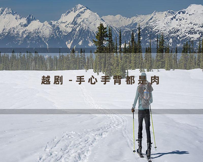 越剧 - 手心手背都是肉